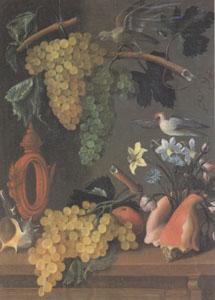 Juan de  Espinosa Still Life with Grapes (san 05) oil painting picture